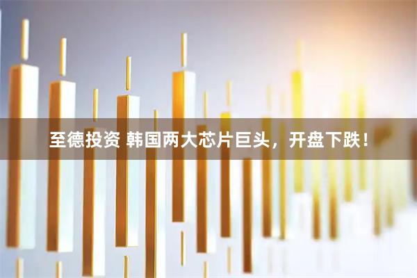 至德投资 韩国两大芯片巨头，开盘下跌！